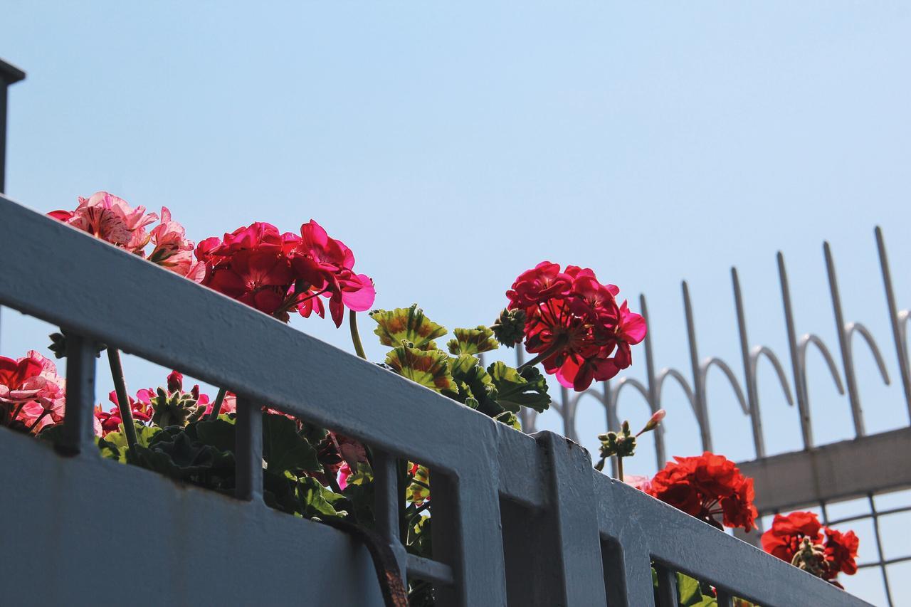 Santa Clara Bed & Breakfast Naples Luaran gambar